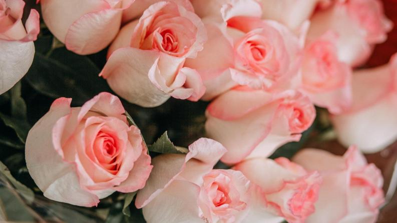 Happy International Women's Day, March 8!