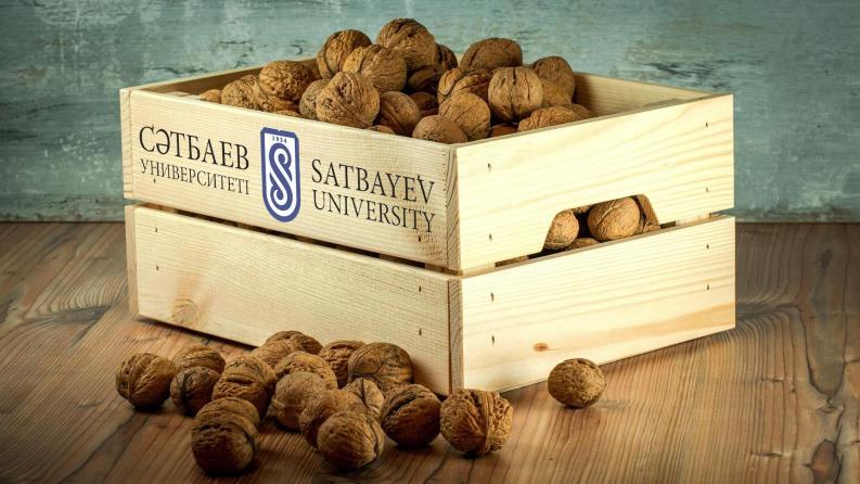 Satbayev University логистика бойынша Х Республикалық студенттік пәндік олимпиадаға шақырады