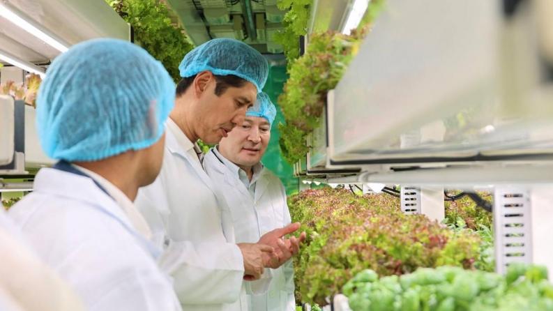  Kazakhstan's first machine farm using the advanced technologies has opened in Almaty, marking the beginning of the new era of sustainable urban agriculture