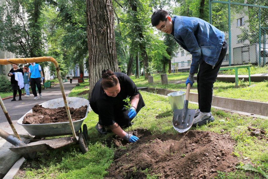  Возродим город яблок вместе и оставим память нашим потомкам!
